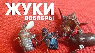 Воблеры жуки для ловли головля, язя и жереха