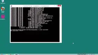 020  Настройка MySQL на Windows (Lynda.com) Изучаем php