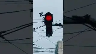 Светофор головастик😂