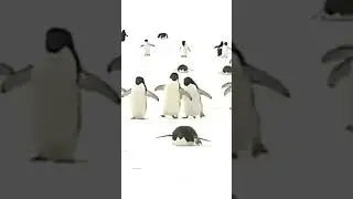 🐧На🙂Пузике🛷