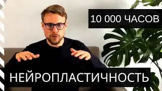 НЕЙРОПЛАСТИЧНОСТЬ. Почему теория 10000 часов может навредить