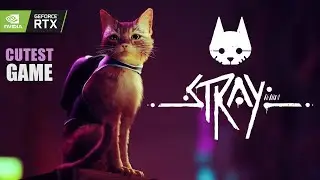 STRAY - Cutest Game Ever Made | PC Gameplay Walkthrough | 60FPS [HD] -No Commentary