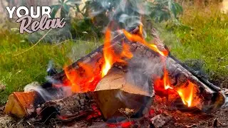 Relaxing sounds of a summer morning fire. The crackle of firewood and the sound of fire.