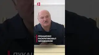 Лукашенко: Нахрена мне нужны ваши причины? (Архив 2023) 