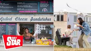 Sandwich shop's 'seagull insurance' plan after birds keep snatching customers food