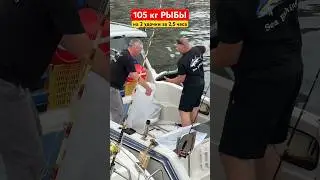 105 кг рыбы поймали ВДВОЕМ за 2,5 часа. КАК?!? #shortvideo #fishing #рыбалка #лодочник