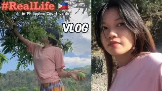 🇵🇭 HOW FILIPINA LIVES IN PHILIPPINE COUNTRYSIDE, VLOG, LUNCH, SUNDAY BONDING, MANGOES AGAIN