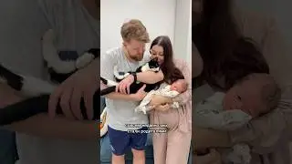 КОТЫ НЕ ХОТЯТ ЖИТЬ С РЕБЕНКОМ… 