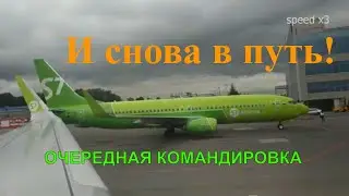 Полет Москва - Краснодар за 6 минут, опять командировка! Airbus A320 (реверс двигателя)