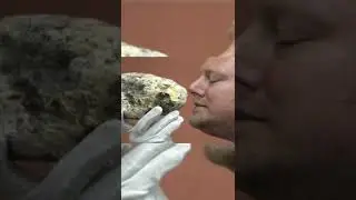 Этот Мужчина Забрал Камень Который Нашёл На Пляже, Пока Учёные Не Выяснили Что Это 