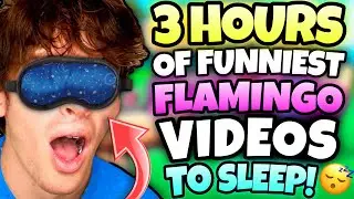 *3 HOURS* OF FLAMINGO TO FALL ASLEEP TO! (ROBLOX)