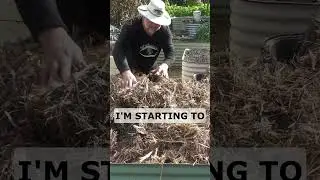 No SOIL NEEDED Garden Bed Fill