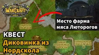 Диковинка из Нордскола КВЕСТ ВОВ СИРУС SIRUS СИРИУС WOW SIRUS X1 SOULSEKEER| WOW SIRUS 3.3.5A