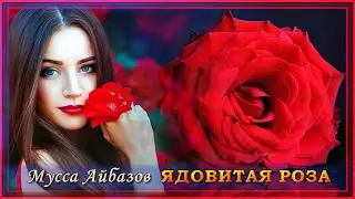 Мусса Айбазов - Ядовитая роза | Шансон Юга