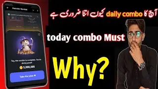 Hamster Kombat today daily combo / Why is the daily combo so important?