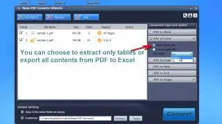 How to Convert PDF Data to Excel Tables