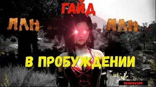 ГАЙД НА ЛАН В ПРОБУДЕ BDO PVE и PVP // ЛАНКА МОЖЕТ ВСЕ!