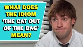 Idiom The Cat Out Of The Bag Meaning