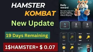 Hamster Kombat Daily Reward New Update