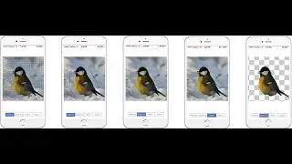 Fast Image Segmentation on Mobile Phone Using Multi-level Graph Cut