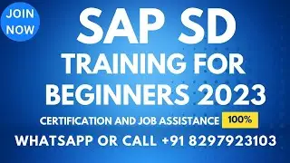 SAP SD TRAINING VIDEOS 3 FOR BEGINNERS Call or What's App: +91 8297903103