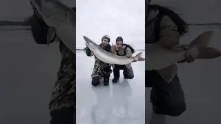 Giant Musky Caught on 3LB Fishing Line 🤯