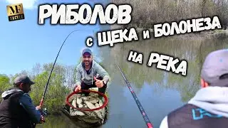 Риболов с ЩЕКА и БОЛОНЕЗА на РЕКА   River Fishing