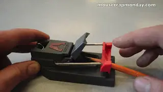 Victor Quick Kill Mouse Trap In Action. Full Review. mousetrapmonday