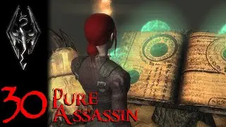 Pure Assassin #30 Seeker of Might
