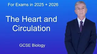 GCSE Biology Revision "The Heart and Circulation"