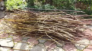 I trimmed the trees, but didn’t throw out the branches. I'll show you what beauty I made from them.