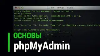 Основы phpMyAdmin для новичков веб программистов