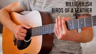 Billie Eilish – BIRDS OF A FEATHER EASY Guitar Tutorial With Chords / Lyrics