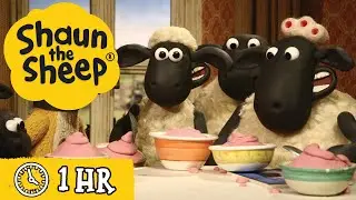 Shaun the Sheep 🐑 Full Episodes 🍨 Food & Giant Sheep 🍅 Cartoons for Kids