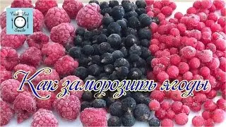 Как заморозить ягоды. Лучший рецепт. Заморозка малины и смородины на зиму