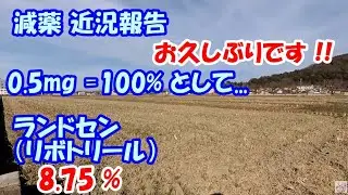 【減薬】 ランドセン（リボトリール） 8.75％ off 【お久しぶりです!!! ..😓】　　／ パニック障害、うつ　　　／ 0.5mg=100%として
