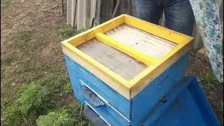 Распродажа пасеки. В сарайчике есть много интересного.