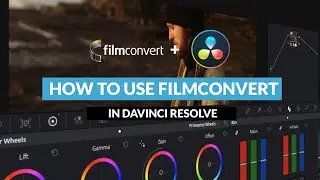 How To Use FilmConvert In DaVinci Resolve | RocketStock