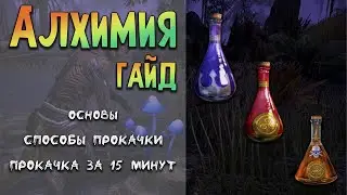 Алхимия | Все о крафте в ТЕСО | Основы и прокачка