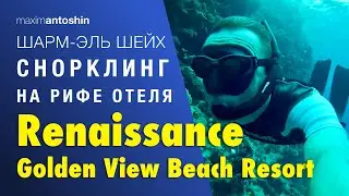 Снорклинг на рифе отеля Renaissance Golden View Beach Resort. Египет. Шарм Эль Шейх