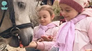 Секреты лучших всадников Фельдман Экопарк