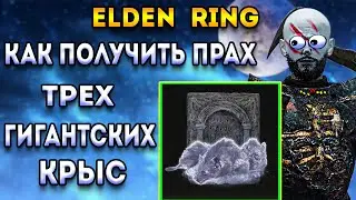 elden ring как получить прах трех гигантских крыс