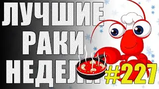 ЛРН выпуск №227 🤪 НЕБЕРУНГИ 🆚 САМЫЙ МАЛЕНЬКИЙ ТАНК В ИГРЕ [Лучшие Раки Недели]