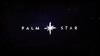 Palm Star