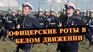 ОФИЦЕРСКИЕ части у БЕЛОГВАРДЕЙЦЕВ!