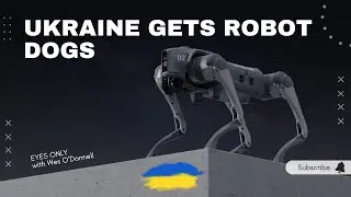 Are Ukraine’s Robot Dogs a Game-Changer on the Battlefield?