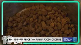 FDA claims no conclusive link between Purina food, sick pet reports