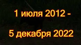 В память о  моей первой охотничьей собаке по кличке-Герда.