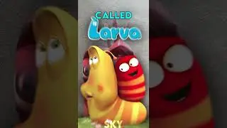 Red Larva Oi Oi Oi Meme Origin 😱