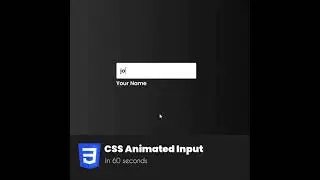 CSS Animated Input Design | 